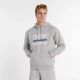 5. New Balance Sport Graphic Fleece Hoodie AG M MT51941AG