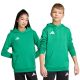 Adidas Entrada 26 Hoody green JZ6563 kids' sweatshirt