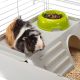 12. CAVIE 80 (x1) - cage for guinea pigs