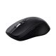 3. Trust Ferro wireless Black mouse