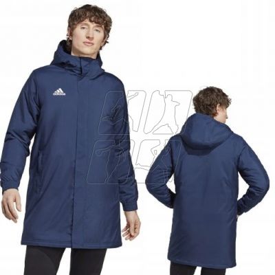 3. Adidas Entrada 22 Stadium Jacket M IB6077