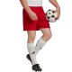 8. Adidas Entrada 22 M H61735 shorts