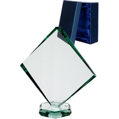 8. Glass trophy with case