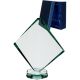 8. Glass trophy with case