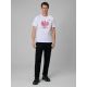 6. Men's fan t-shirt 4F 4FRSS26TTSHM4201-10S