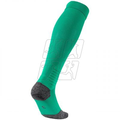 2. Puma Team Liga football tights 703438 05