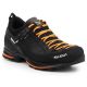 2. Salewa MS MTN Trainer 2 GTX M shoes 61356-0933