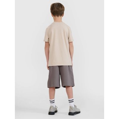 2. Boys' sweatpants 4F 4FJRSS25TSHOM684-23S