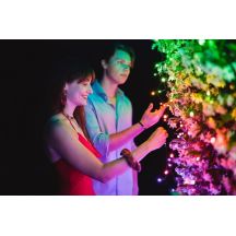 Twinkly Strings – 250 RGB+W String Light, transparent cable, Type F plug
