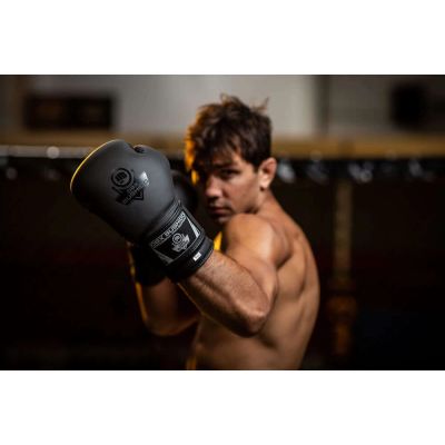 21. 10oz Boxing Gloves - Black Master - Valor Series