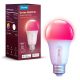 2. Govee Smart RGB Bulb 800LM, Wi-Fi + Bluetooth H6004CC1