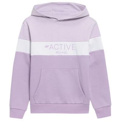 Sweatshirt 4F Jr HJL22 JBLD002 51S