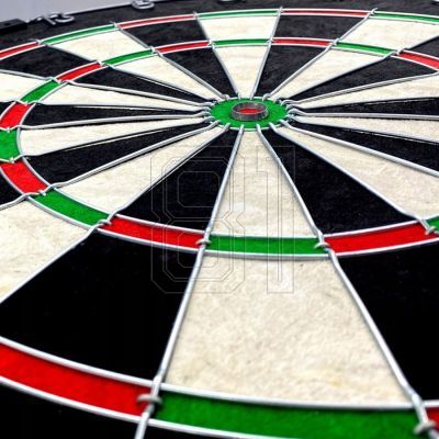 3. Dartboard sisal 45cm Enero Championship Pro 1051628