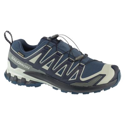 Salomon XA Pro 3D v9 GTX L49199200 Navy Blue 42