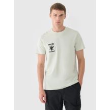Men's regular printed T-shirt 4F 4FRAW24TTSHM2603-47S