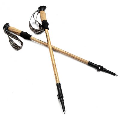 Spokey Bastone Eco 929465 Nordic Walking Poles