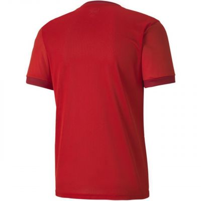 2. Puma teamGOAL 23 Jersey M 704171 01