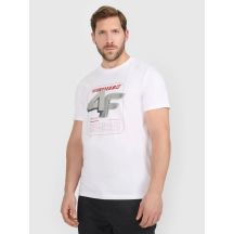 Men's regular printed T-shirt 4F 4FRAW25TTSHM3612-10S