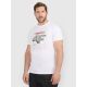 Men's regular printed T-shirt 4F 4FRAW25TTSHM3612-10S