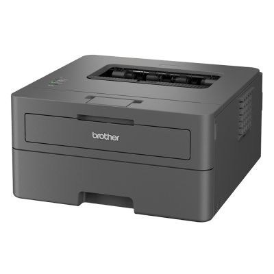9. BROTHER HL-L2402D LASER PRINTER