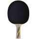 2. LEGENDS 300 FSC DONIC TABLE TENNIS RACKET