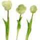 22. WHITE TULIP 38CM LIFE-LIKE SPRING DECORATION