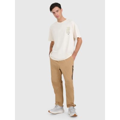 3. Men's oversized printed T-shirt 4F 4FRAW25TTSHM3220-11S