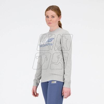 3. New Balance Sport Core Shadow French Terr AG Sweatshirt W WT31816AG