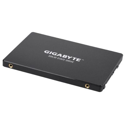 4. Gigabyte SSD 1TB SATA3 2.5" (550/500 MB/s)