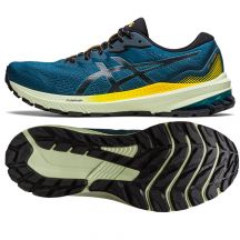 Running shoes Asics GT-1000 11 TR M 1011B573 750