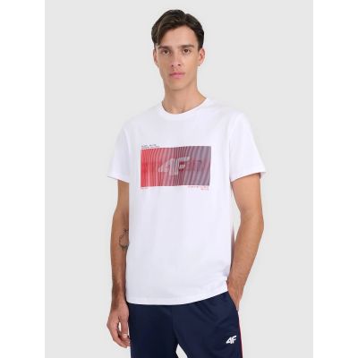 Men's regular printed T-shirt 4F 4FRAW25TTSHM3224-10S