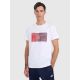 Men's regular printed T-shirt 4F 4FRAW25TTSHM3224-10S