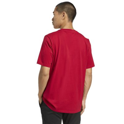 2. adidas Liverpool FC Seasonal DNA Graphic Tee 2 JY3466